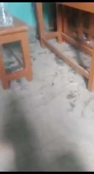 -986168872448287845.MP4